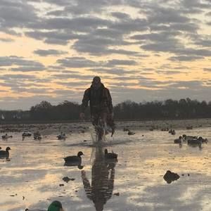 Meet your Posher, Bryce